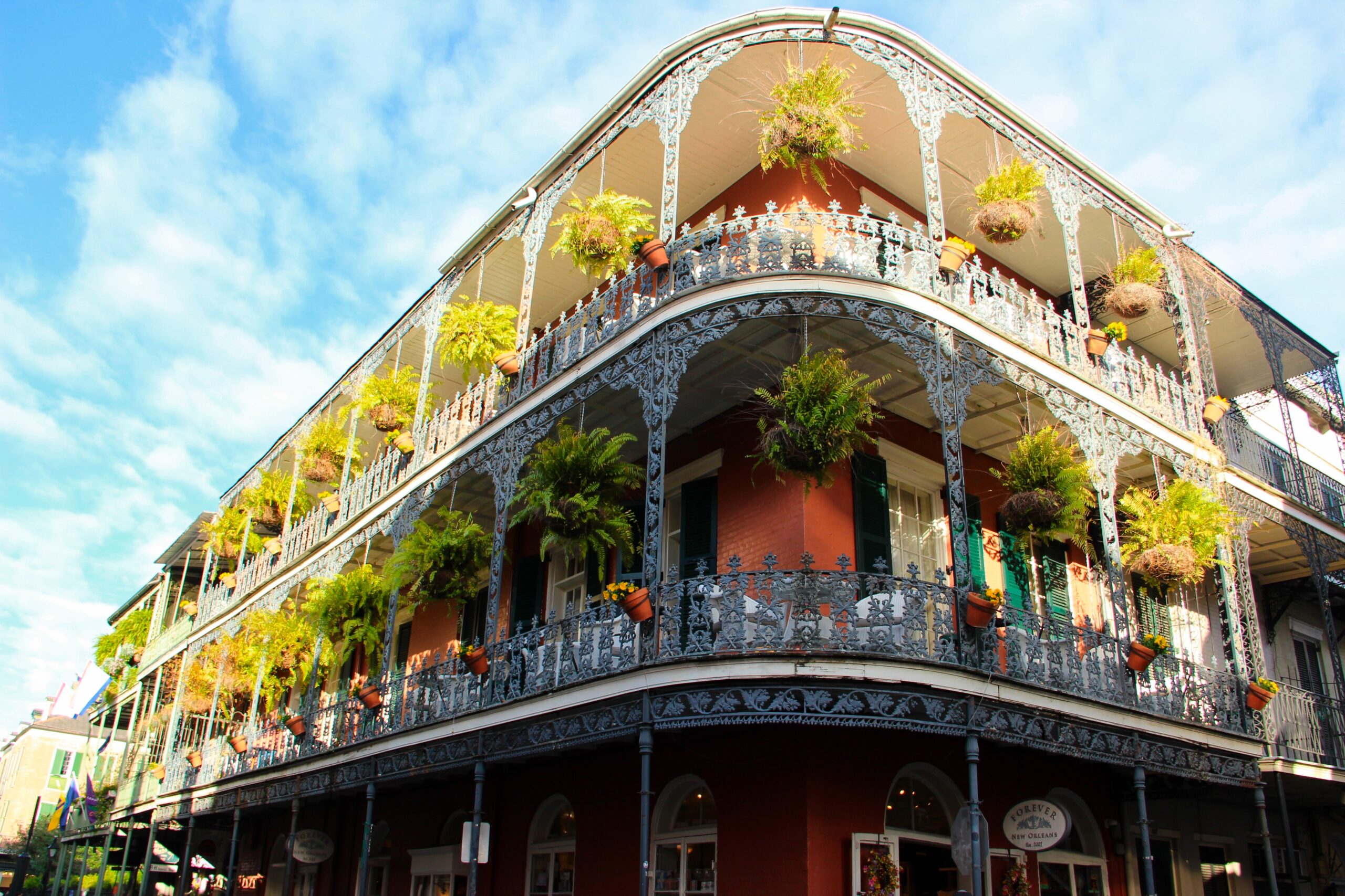 Waking up in the French Quarter