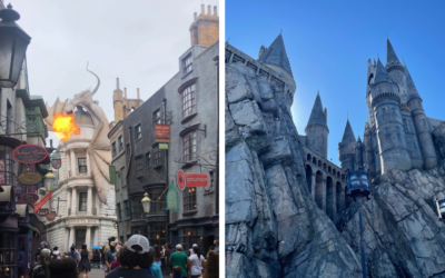 Which Wizarding World of Harry Potter is Better?